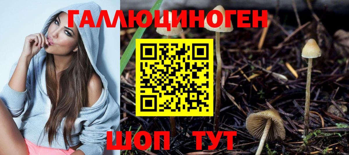 Шали  Псилоцибиновые грибы MAGIC MUSHROOMS  Вход с VPN  Галлюциногенные грибы GOLDEN TEACHER 