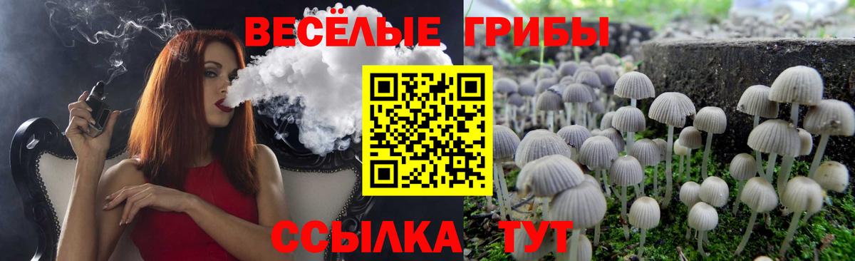Псилоцибиновые грибы Psilocybe Шали